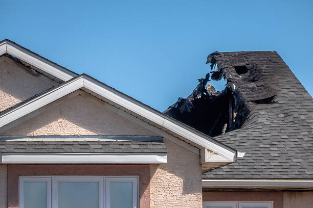 Licensed Smoke Damage Removal service in Loretto, MN - Fire Damage Biloxi